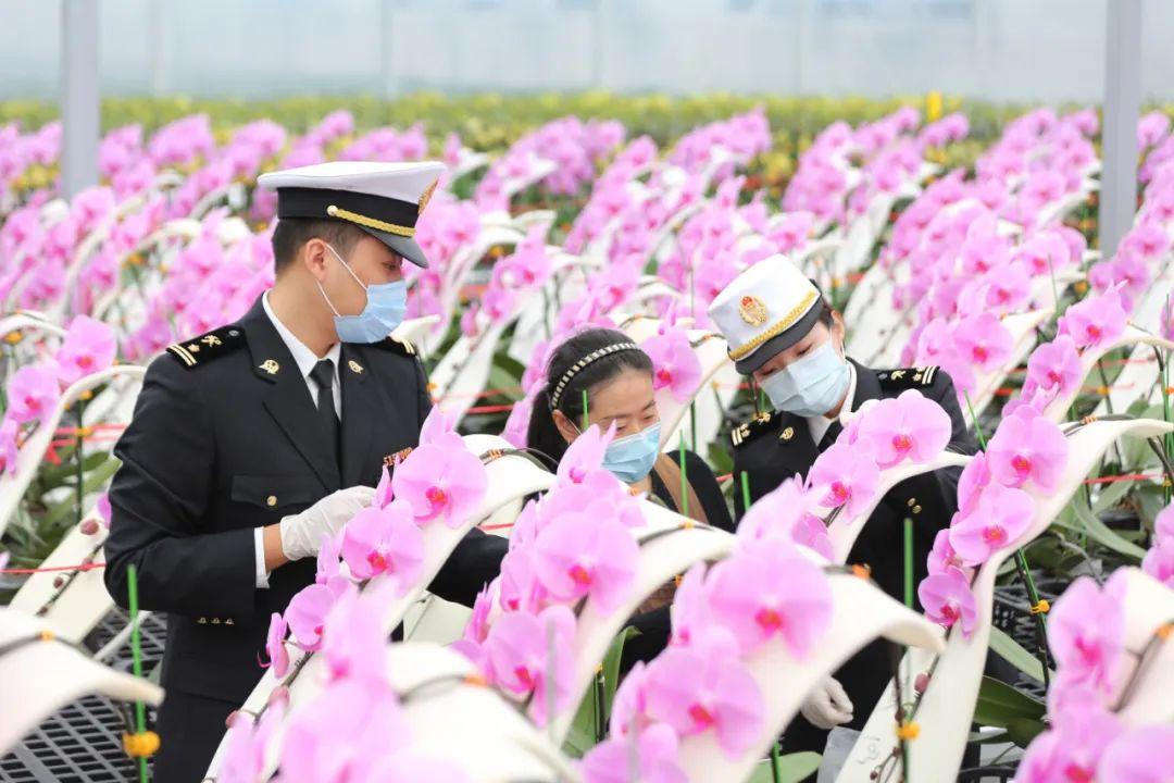 顺德公务员报考条件海关详解