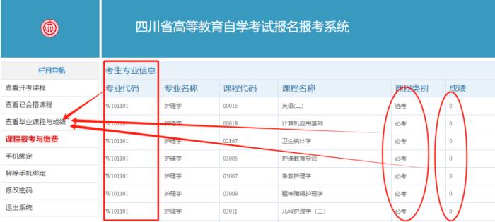 四川自学考试网登录问题解析及应对方案