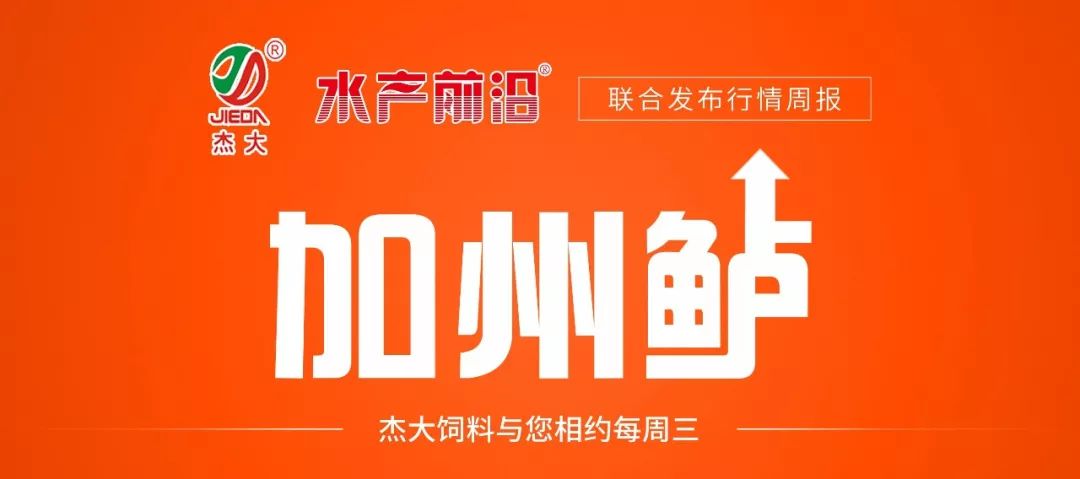 饲料行业招聘热潮，58同城引领人才对接新篇章