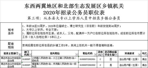 嵩县报考公务员的条件与要求解析