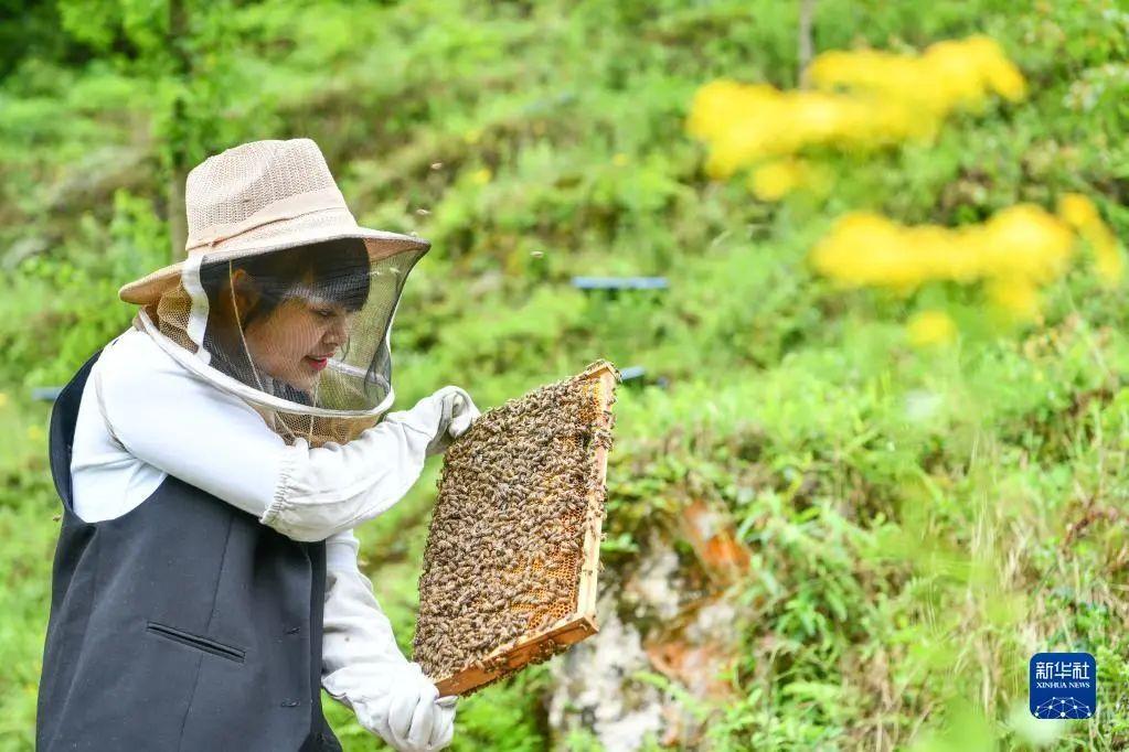 水东镇人才网最新招聘动态及人才发展战略解析